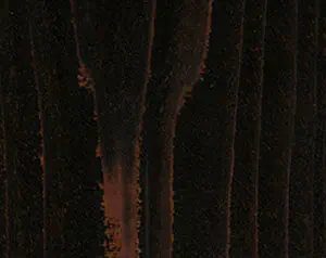 Fence Stain Contractor in Fort Smith, Arkansas