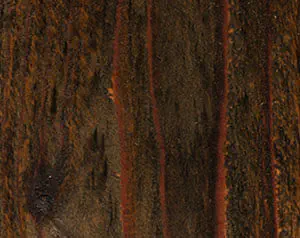 Fence Stain Contractor in Fort Smith, Arkansas