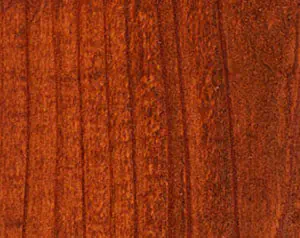 Fence Stain Contractor in Fort Smith, Arkansas